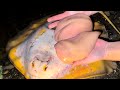 エイの”肝”を食べたくなる動画。