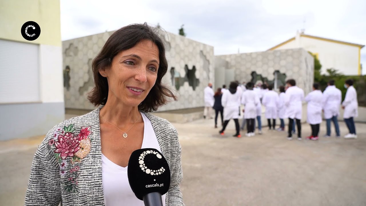 OP Cascais | Novos laboratórios de ciências da Secundária Matilde Rosa Araujo