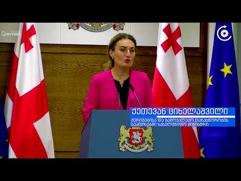 რასაც მიხეილ სააკაშვილი უკრაინაში აკეთებს, კორექტული და სახელმწიფოზე მოფიქრალი პოლიტიკოსის ქმედებებს