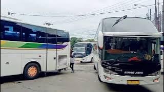 bus sinar jaya berkumpul di pool garasi bus sejuta umat