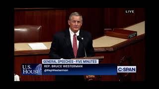 Westerman Speaks on the House Floor on Democrats&#39; Inflation Crisis