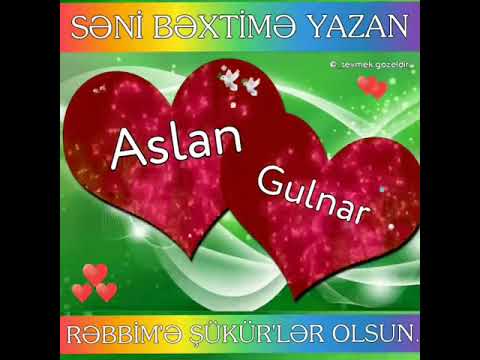 aslan gülnar cütlükləri üçün video #aslan #gülnar