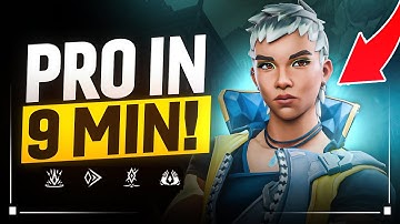 The ONLY Waylay Guide You