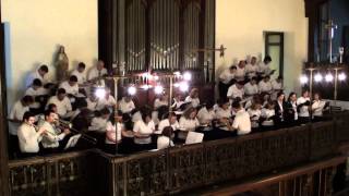 Misericordias Domini