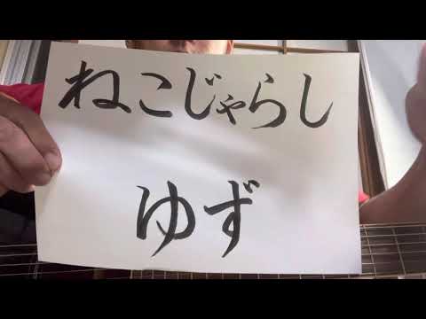 【part 126】ねこじゃらし／ゆず　歌ってみた