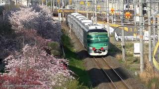 JR貨物　桜並木沿いを走る東京メトロ13000系甲種輸送を撮影（R2.4.4)