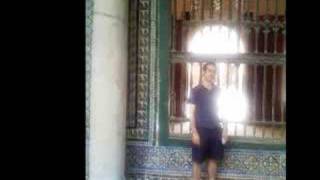 Un Paseo Por La Casa De Pilatos Verano 2007