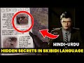 I translated mysterious skibidi language with chatgpt  hindi urdu