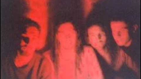 FUZZ FUZZ MACHINE - 01 - TropicaLife