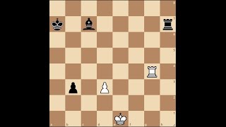 Белые должны выжить! #шахматы #chess