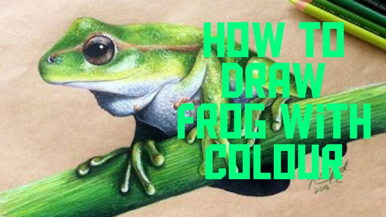How to draw &colour frog easily, medhak kaise banate hain howtodraw