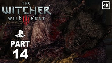 The Witcher 3 Wild Hunt Gameplay Walkthrough Part 14 ( Full Game ) [ 4K ULTRA HD ]