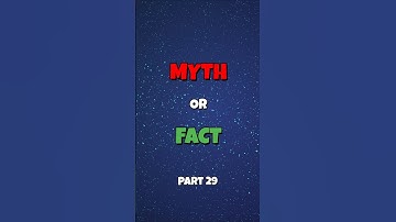 Can Humans Really Multitask? The Brain Science Explained