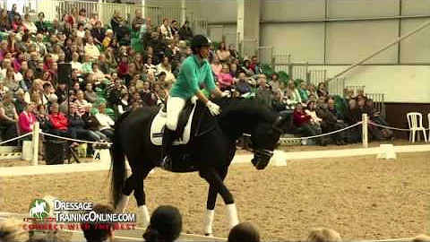Dressage training to increase your scores by Carl ...