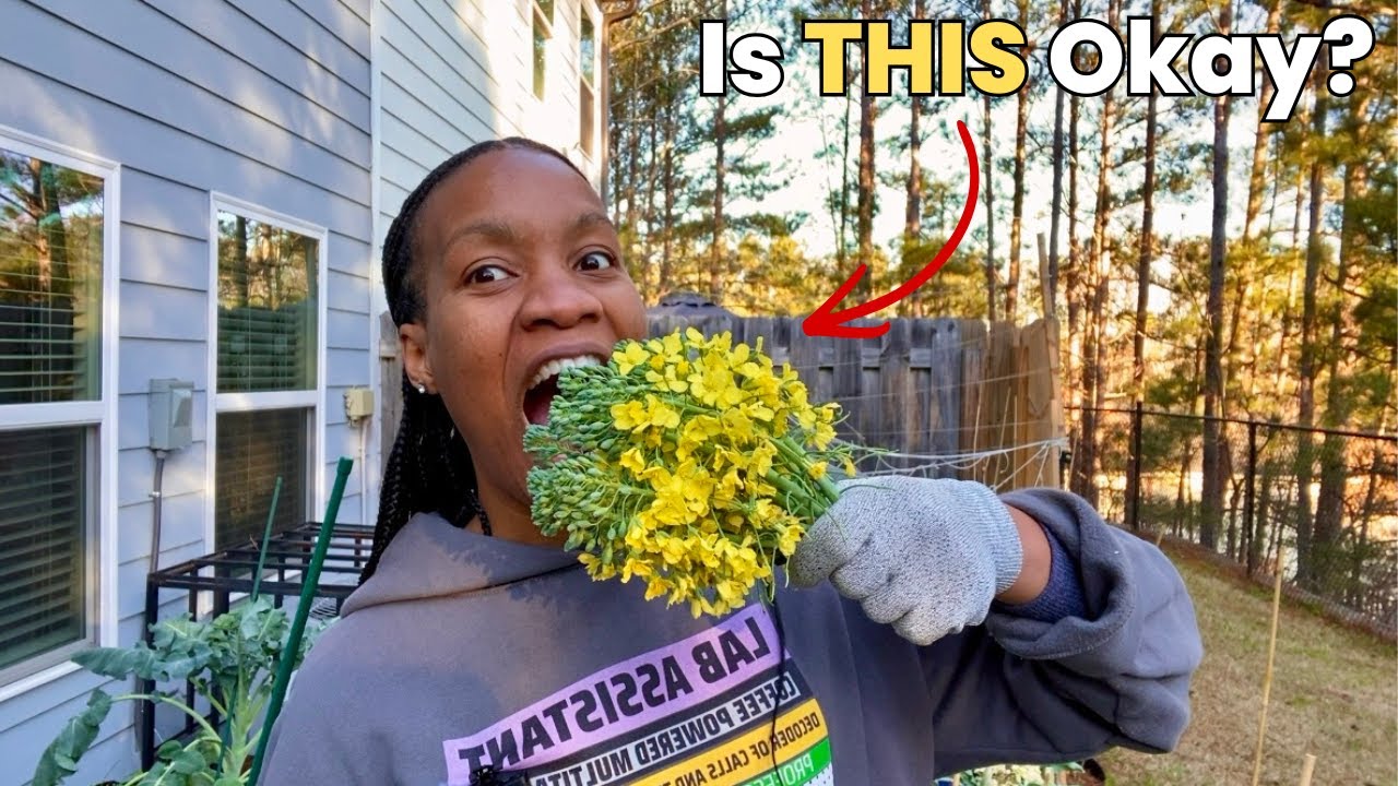 Моя брокколи зацвела… И я её съела | Вот что произошло 😅 🥦