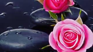 ABDULLAH MUHAYSINI ILE NEBE SURESI VE TEFSIRI