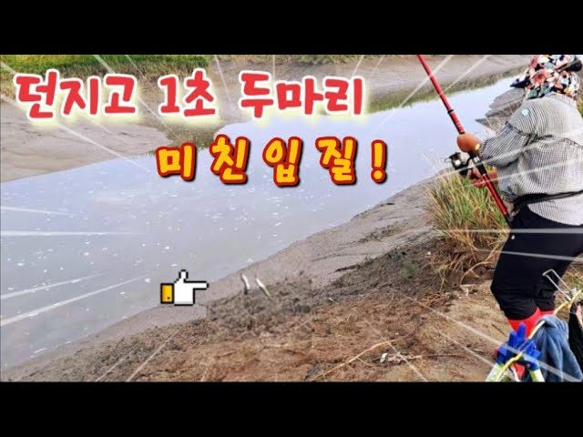 9월 16일 1물 던지고 1초면 쌍걸이 포인트 무자게 잘 나오네요