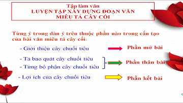 TLV4       Luyện tập xây dựng đoạn văn miêu tả cây cối
