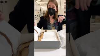 Testing Our Archivists