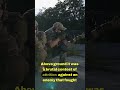 The Horror of Close Quarters Combat