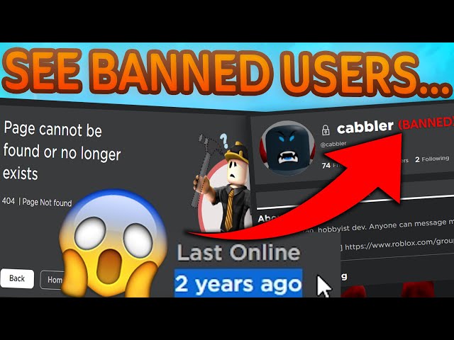 How To See Last Online Status Of A User On Roblox (2023 Guide) 