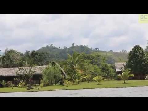 Travel Jungle in Tarapoto Peru