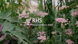 Introducing The Hampton's Mediterranean Garden by Garden Club London at RHS Chelsea Flower Show 2023