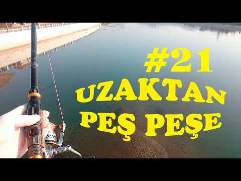 Uzaktan Peş Peşe BALIK AVI.Dip Oltasıyla.KEFAL AVI.KASNA AVI.Tavuk Yüreği.Catch Fish.Chub.river #21