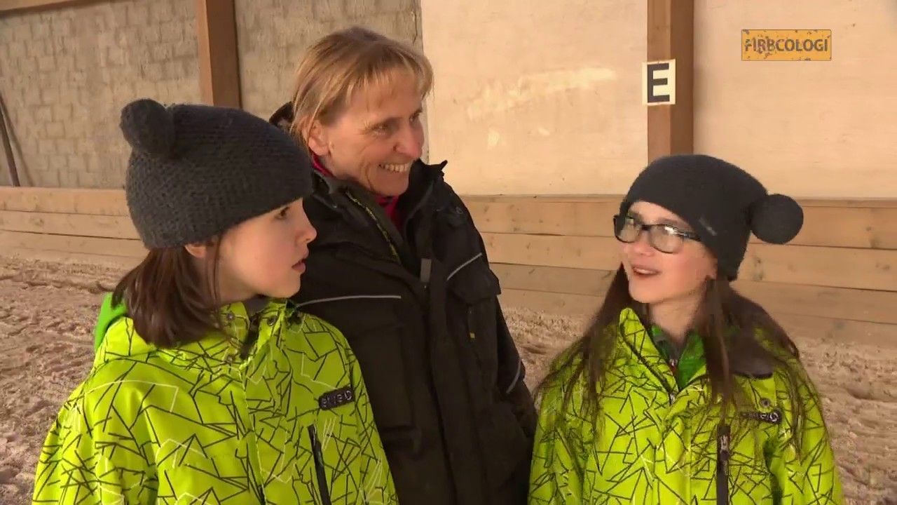 Firbcologi: terapija s konji