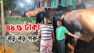 ৪৮৫ টাকা লাইভ ওয়েটে কোরবানির বড় বড় গরু! কুমিল্লা মেঘনা ব্রিজ! কোরবানির গরু ২০২৪