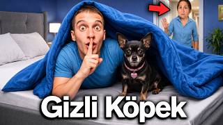 YENİ KÖPEK SAHİPLENİP GİZLİCE EVE GETİRDİM ?! (annem çıldırdı)