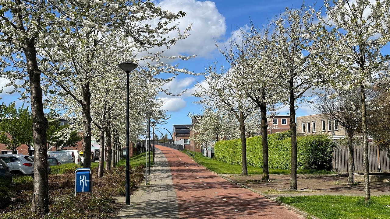 Our house tour at Netherlands, styling and video courtesy - Vlieg Makelaars