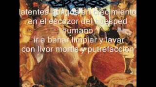 Carcass- Cadaveric Incubator Of EndoParasites(Traducido A Español)