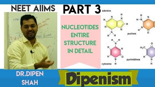 Nucleotides Structure in Hindi | Nitrogen bases | Adenine Guanine Thymine Uracil
#Dipenism