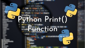 Python Print() Function: A Beginner