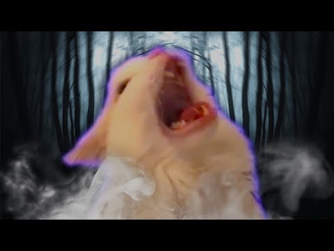 jumpscares-but-they’re-memes