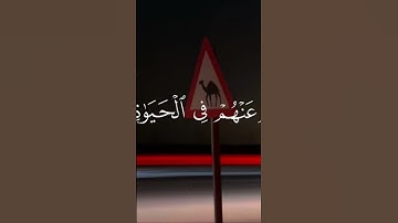 #القرآن_الكريم #تلاوة_خاشعة #تلاوة_هادئة #ياسر_الدوسري #اكسبلور