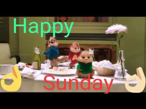 Happy Sunday Cartoon Video By : B. Komal - YouTube