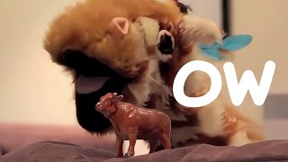 Mr.t Does Phonics With Geraldine The Giraffe - The Ow Digraph