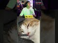 WHY ?? Just WHY ???? #streamer #youtuber #meme