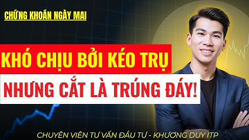 Xanh Vỏ Đỏ Lòng: Có Nên Bán Hết Cổ Phiếu Để Mua VIC, VHM, VRE?