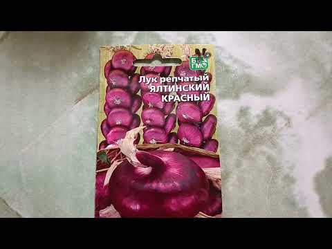 Посадка чернушки красного