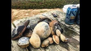 Download lagu Foraging for clams and eating clam SASHIMI clam chowder Foraging for clams and eating clam SASHIMI clam chowder