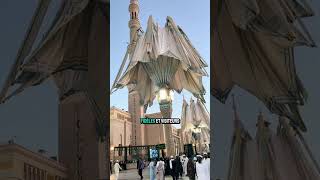 Les Plus Grands Parasols Du Monde Rafraîchissent Médine Et Impressionnent Les Visiteurs.