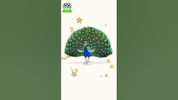 Draw One Part Solution. Dop Game Level ,243