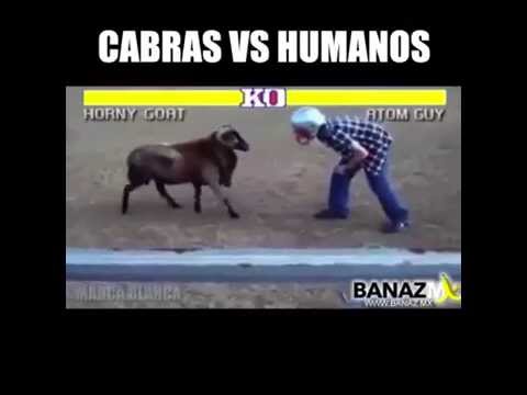 HUMANOS VS CABRAS - BLOOPERS 2016