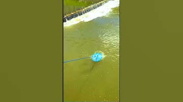 Cast Nets simple knots making tutorial #fishing #fish #fishcutting