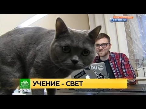 Учение — свет: телеканал НТВ об «Открытом образовании»