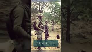 Indian army inside Pakistan?