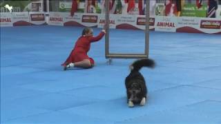 Jessy  \& Elke Boxoen - 2019 FCI DogDancing World Championship   FS Final